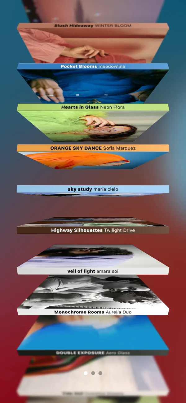 MD Vinyl screenshot 2
