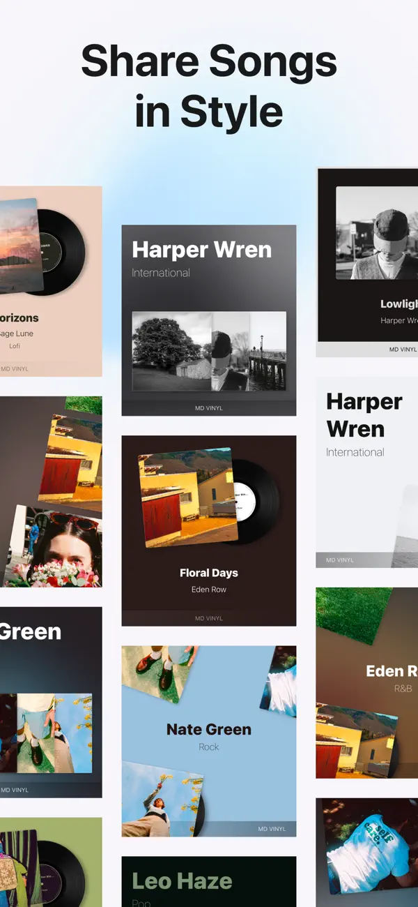 MD Vinyl screenshot 3